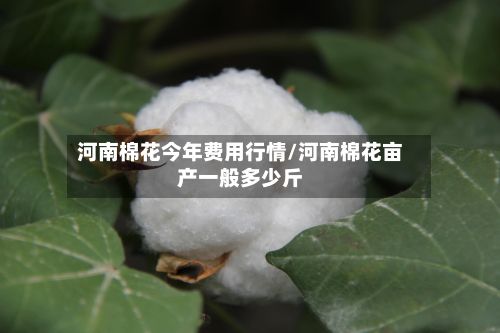 河南棉花今年费用行情/河南棉花亩产一般多少斤-第3张图片