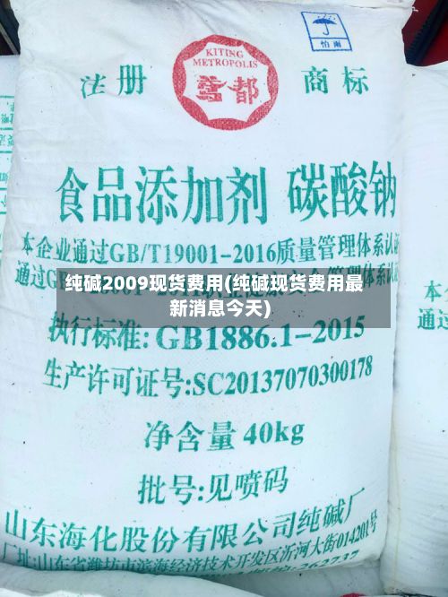 纯碱2009现货费用(纯碱现货费用最新消息今天)