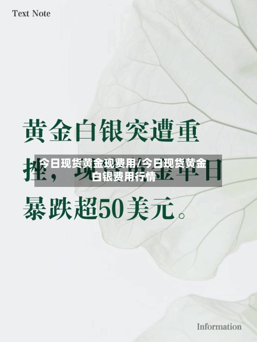 今日现货黄金现费用/今日现货黄金白银费用行情