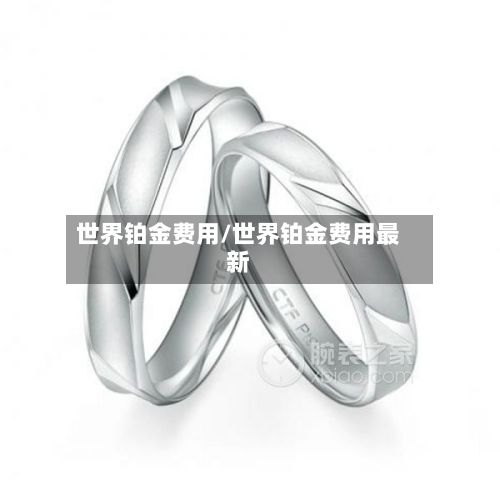 世界铂金费用/世界铂金费用最新