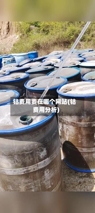 钴费用要在哪个网站(钴费用分析)-第3张图片