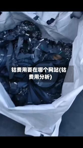 钴费用要在哪个网站(钴费用分析)