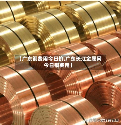 【广东铜费用今日价,广东长江金属网今日铜费用】-第2张图片