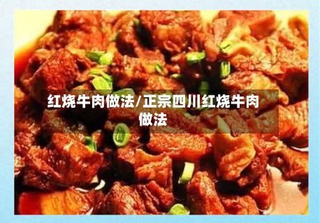 红烧牛肉做法/正宗四川红烧牛肉做法