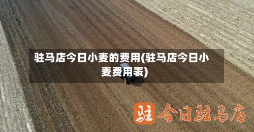 驻马店今日小麦的费用(驻马店今日小麦费用表)-第3张图片