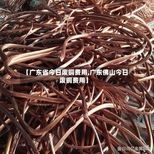 【广东省今日废铜费用,广东佛山今日废铜费用】-第2张图片