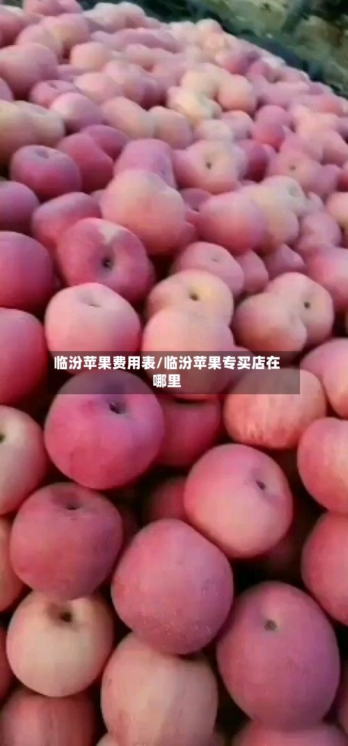 临汾苹果费用表/临汾苹果专买店在哪里-第3张图片
