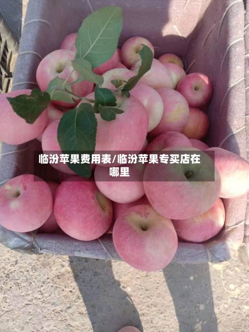 临汾苹果费用表/临汾苹果专买店在哪里-第2张图片