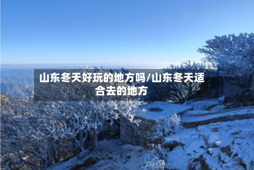 山东冬天好玩的地方吗/山东冬天适合去的地方-第3张图片
