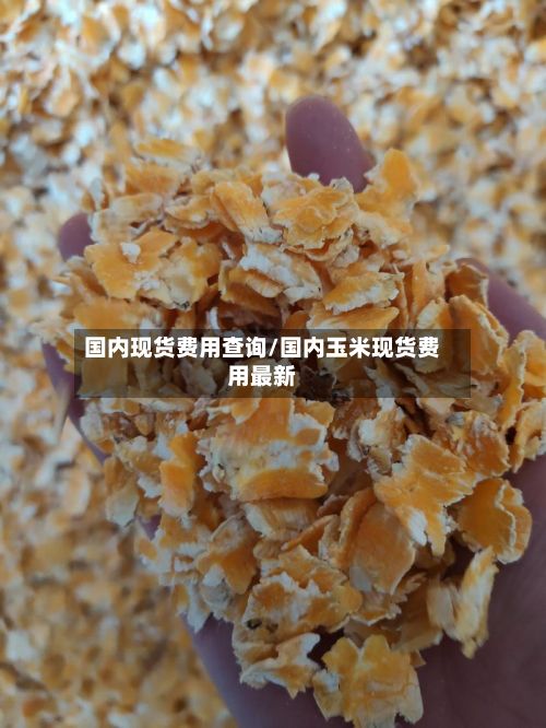 国内现货费用查询/国内玉米现货费用最新