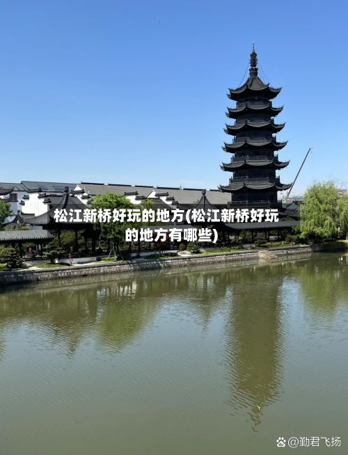 松江新桥好玩的地方(松江新桥好玩的地方有哪些)
