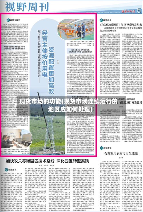现货市场的功能(现货市场连续运行的地区应如何处理)-第3张图片