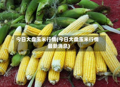 今日大盘玉米行情(今日大盘玉米行情最新消息)-第2张图片