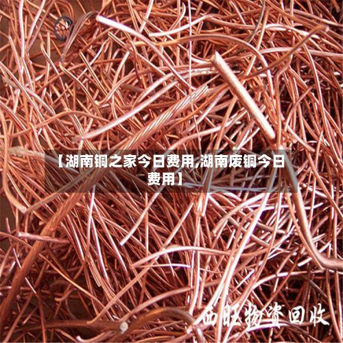 【湖南铜之家今日费用,湖南废铜今日费用】