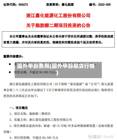 国外甲醇费用(国外甲醇期货行情)-第3张图片
