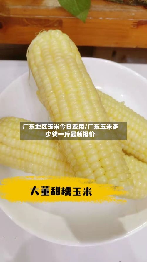 广东地区玉米今日费用/广东玉米多少钱一斤最新报价