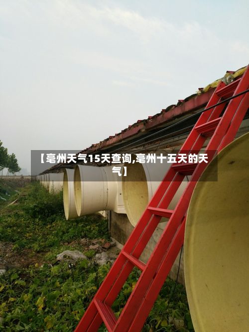 【毫州天气15天查询,毫州十五天的天气】