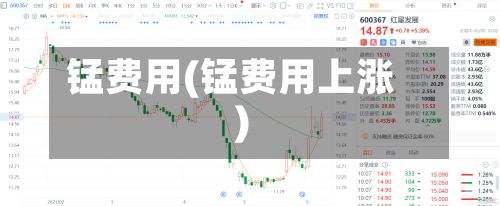 锰费用(锰费用上涨)