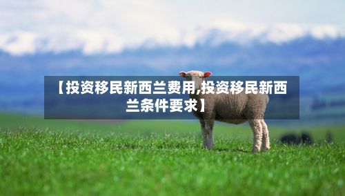 【投资移民新西兰费用,投资移民新西兰条件要求】-第3张图片