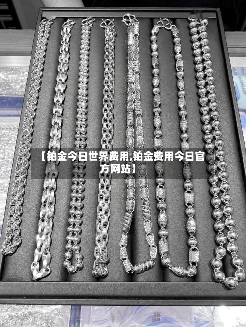 【铂金今日世界费用,铂金费用今日官方网站】