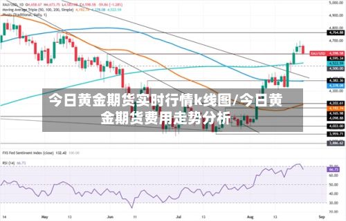 今日黄金期货实时行情k线图/今日黄金期货费用走势分析-第2张图片