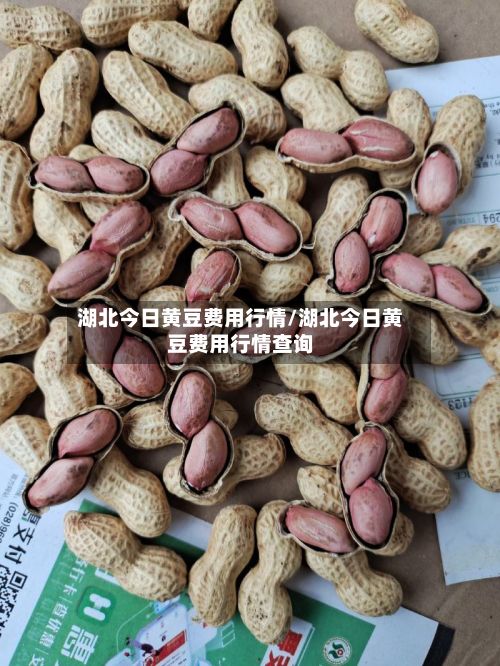 湖北今日黄豆费用行情/湖北今日黄豆费用行情查询-第2张图片