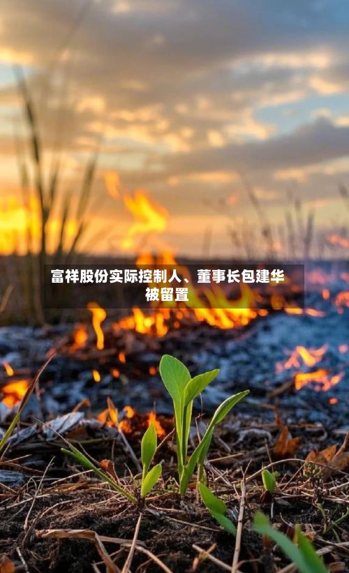 富祥股份实际控制人、董事长包建华被留置-第2张图片