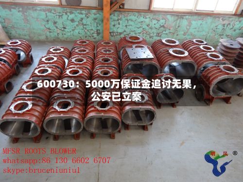 600730：5000万保证金追讨无果，公安已立案-第2张图片