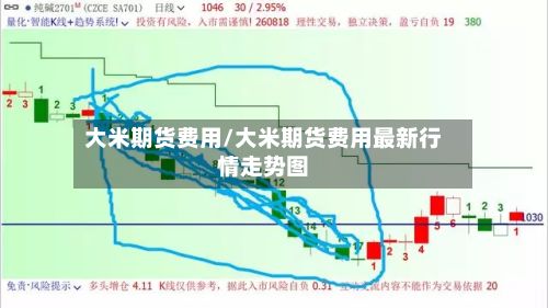 大米期货费用/大米期货费用最新行情走势图