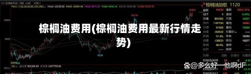 棕榈油费用(棕榈油费用最新行情走势)-第2张图片