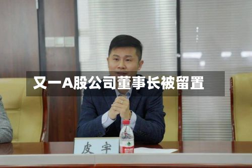 又一A股公司董事长被留置