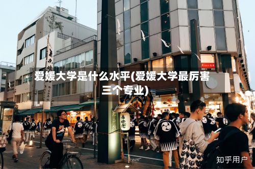 爱媛大学是什么水平(爱媛大学最厉害三个专业)