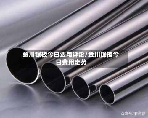 金川镍板今日费用评论/金川镍板今日费用走势-第2张图片