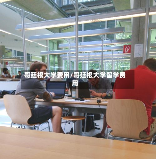 哥廷根大学费用/哥廷根大学留学费用-第2张图片