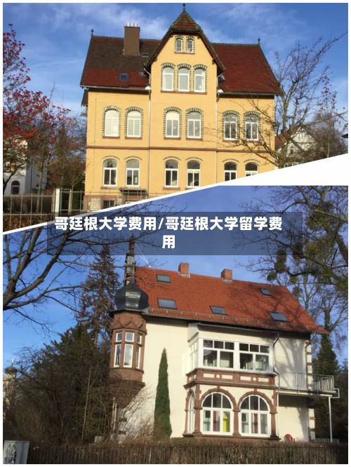 哥廷根大学费用/哥廷根大学留学费用