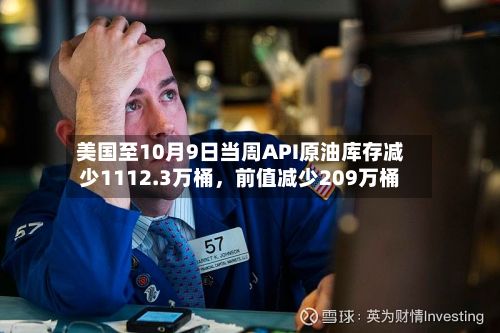 美国至10月9日当周API原油库存减少1112.3万桶，前值减少209万桶-第2张图片