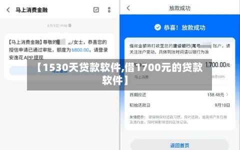 【1530天贷款软件,借1700元的贷款软件】-第2张图片