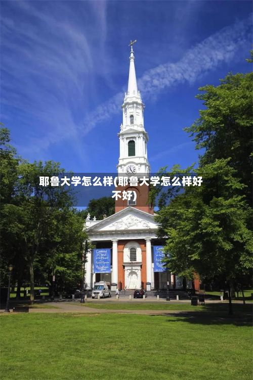 耶鲁大学怎么样(耶鲁大学怎么样好不好)