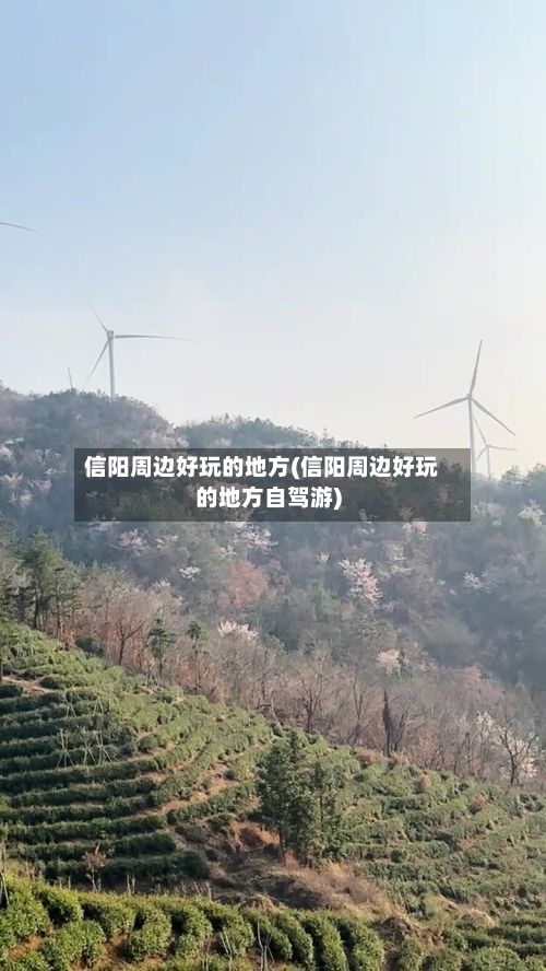 信阳周边好玩的地方(信阳周边好玩的地方自驾游)-第3张图片