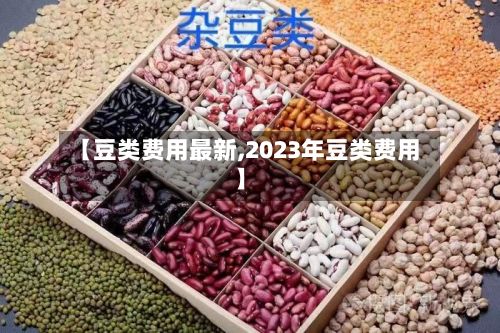 【豆类费用最新,2023年豆类费用】