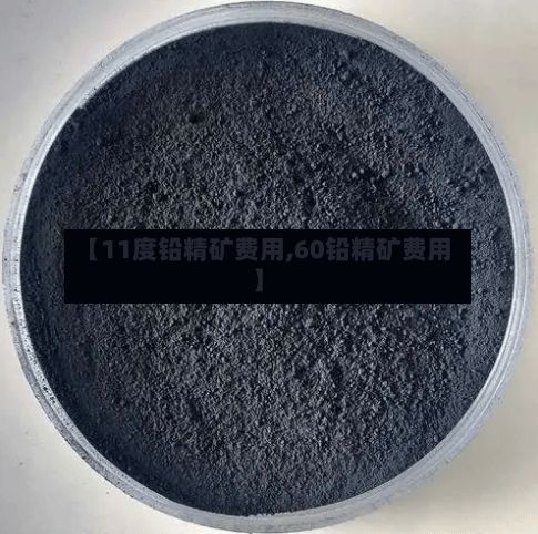 【11度铅精矿费用,60铅精矿费用】