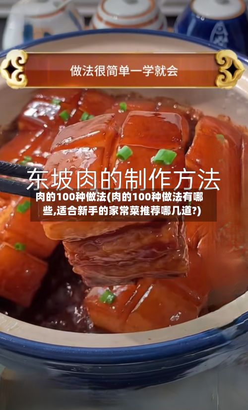肉的100种做法(肉的100种做法有哪些,适合新手的家常菜推荐哪几道?)