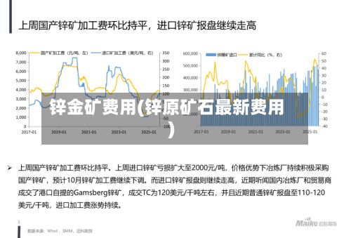 锌金矿费用(锌原矿石最新费用)