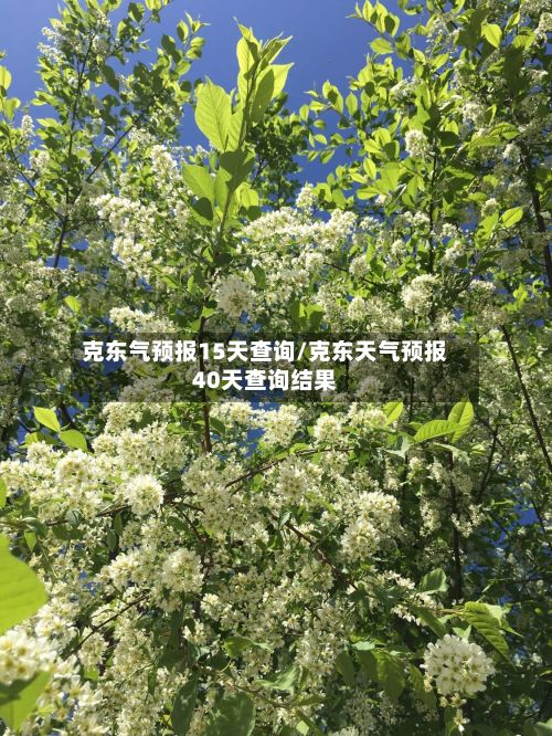 克东气预报15天查询/克东天气预报40天查询结果-第2张图片