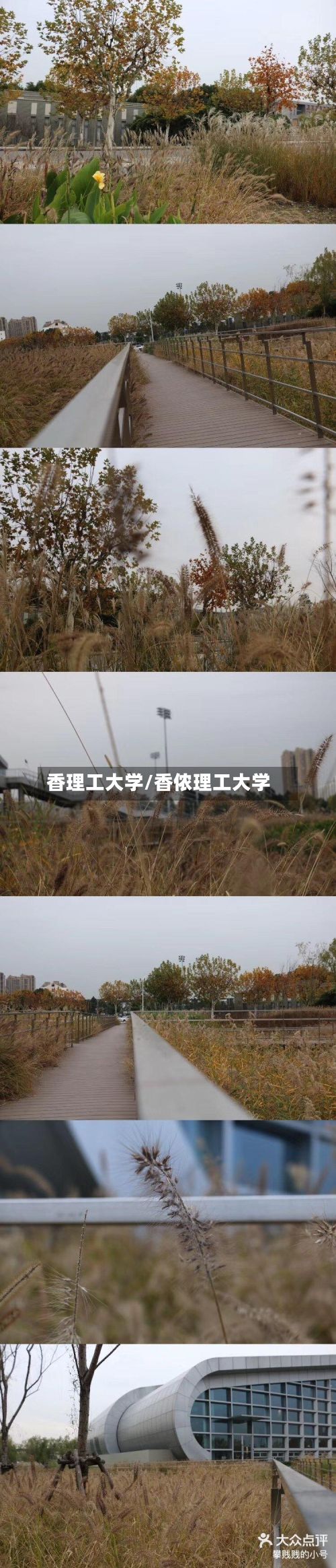 香理工大学/香侬理工大学