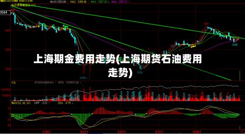 上海期金费用走势(上海期货石油费用走势)-第2张图片