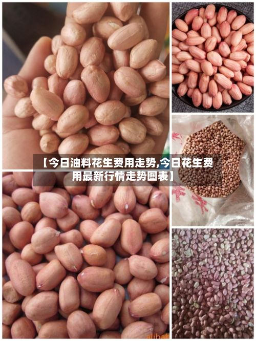【今日油料花生费用走势,今日花生费用最新行情走势图表】-第2张图片