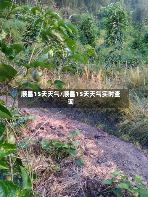 顺昌15天天气/顺昌15天天气实时查询-第2张图片