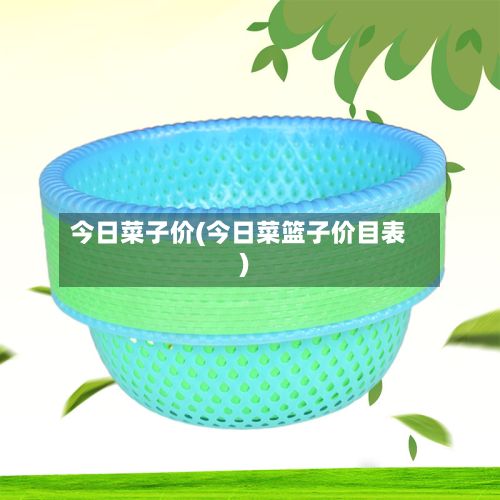 今日菜子价(今日菜篮子价目表)