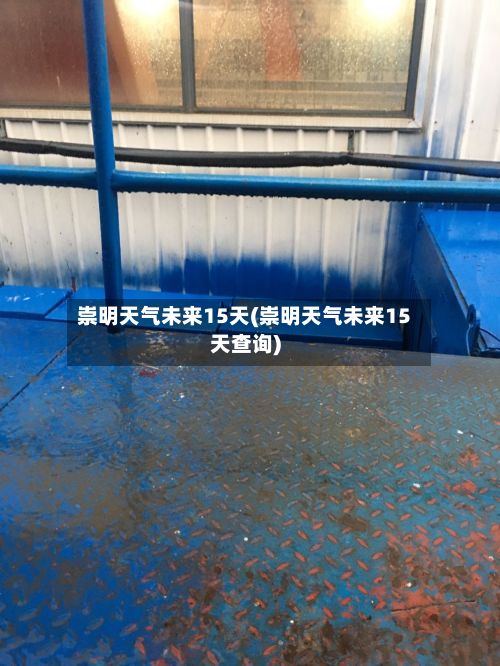 崇明天气未来15天(崇明天气未来15天查询)